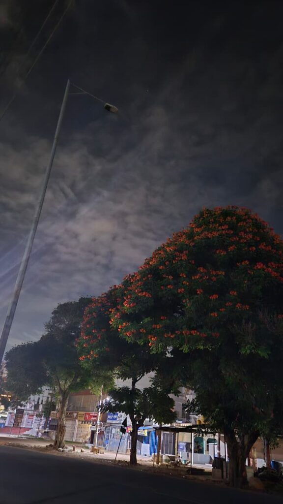 whatsapp image 2026 03 01 at 2.28.45 pm