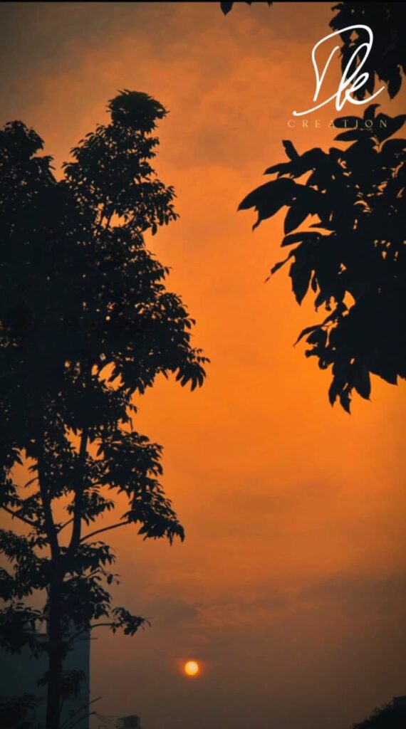 whatsapp image 2026 03 01 at 3.05.30 pm