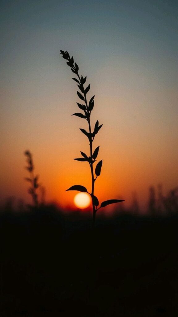 whatsapp image 2026 03 01 at 3.50.24 pm (1)