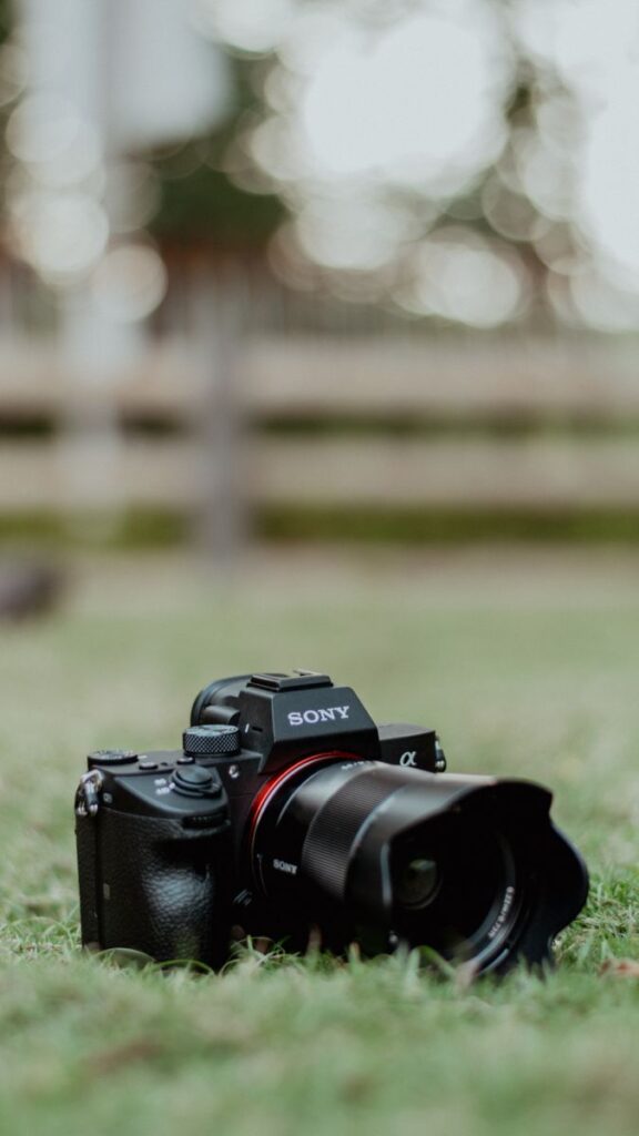 whatsapp image 2026 03 01 at 3.50.24 pm (2)