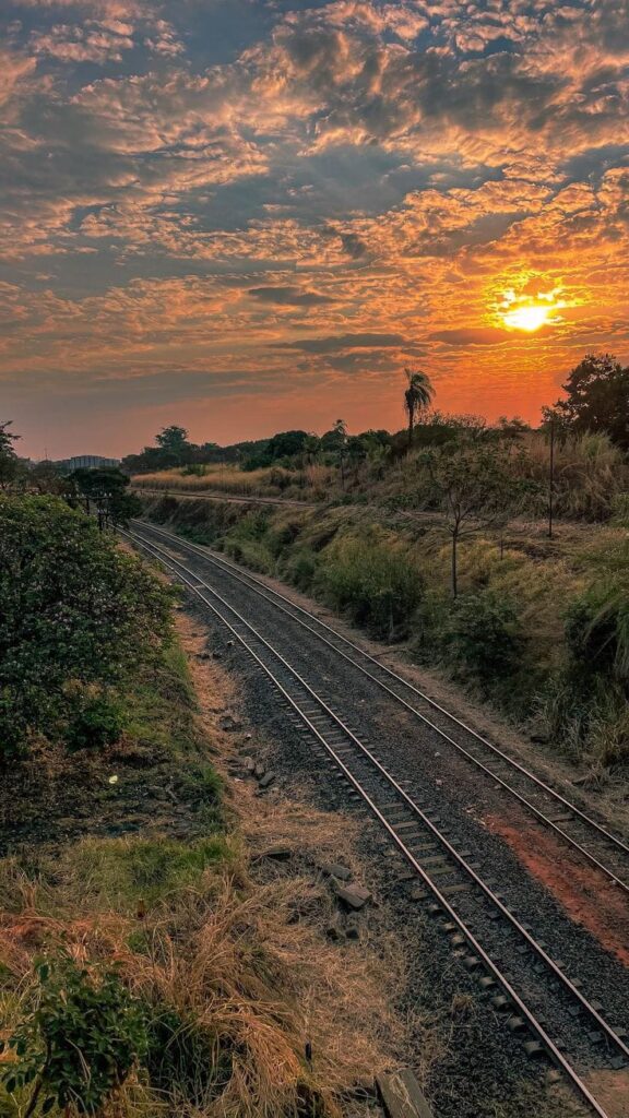 whatsapp image 2026 03 01 at 3.50.26 pm (3)