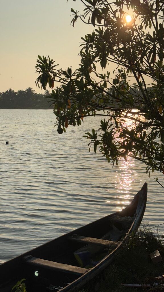 whatsapp image 2026 03 01 at 3.54.20 pm (2)