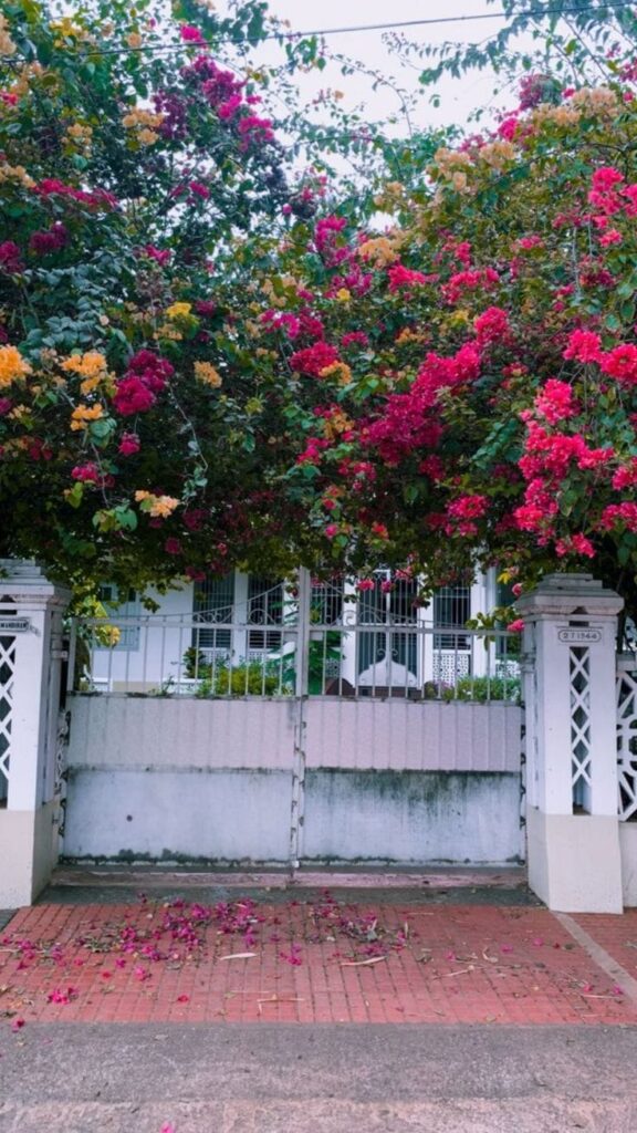 whatsapp image 2026 03 01 at 3.54.20 pm