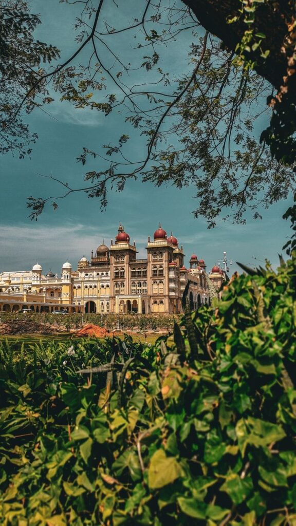 whatsapp image 2026 03 01 at 3.54.21 pm (1)