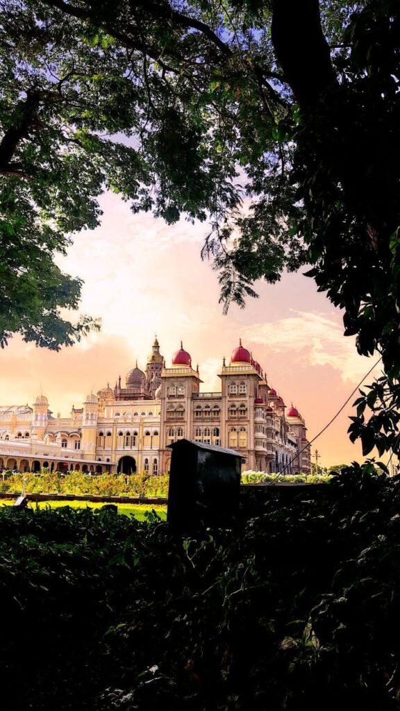 whatsapp image 2026 03 01 at 3.54.21 pm