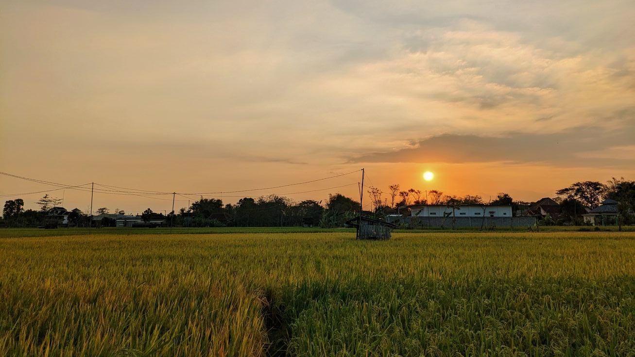 whatsapp image 2026 03 01 at 4.12.09 pm