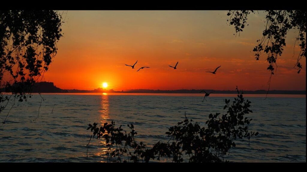 whatsapp image 2026 03 01 at 4.38.39 pm